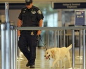 Politist american. Sură foto: www.mediafax.ro.